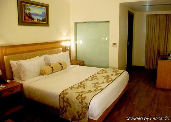 ניו דלהי Comfort Inn Anneha חדר תמונה